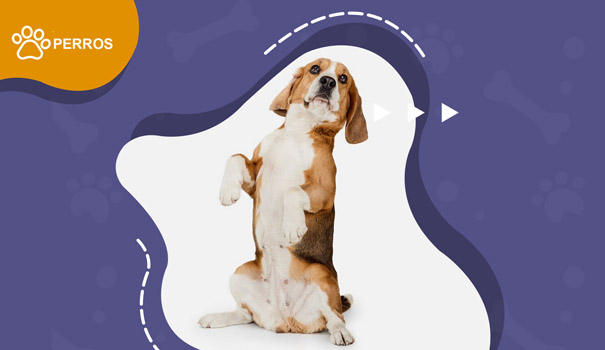 promotion-banner1